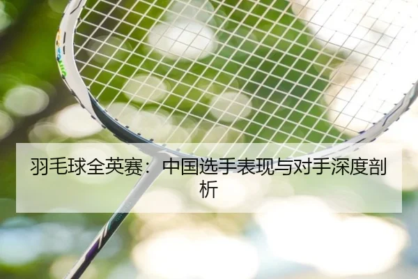 羽毛球全英赛：中国选手表现与对手深度剖析